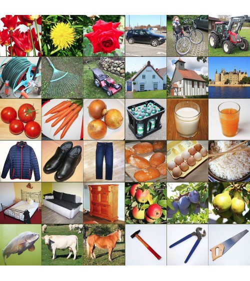 Learn to assign and sort2