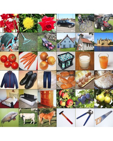 Learn to assign and sort2